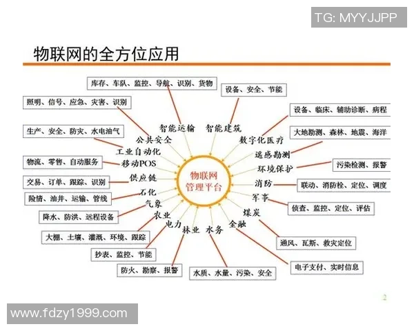 深圳排球队边路渗透战术解析与实战应用探讨