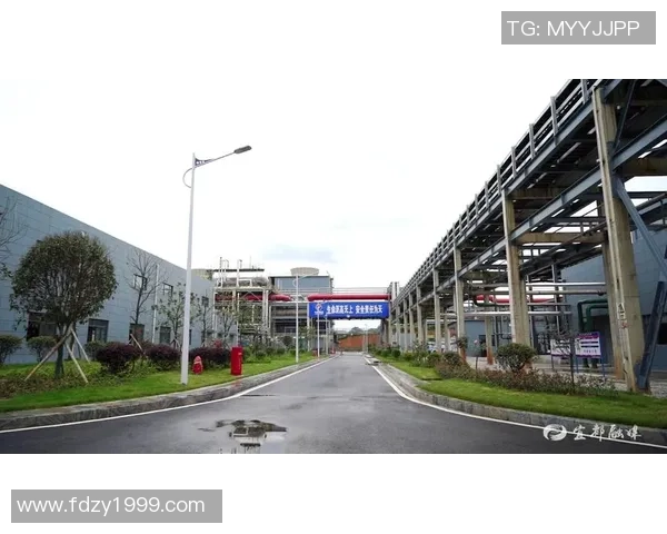 深圳排球队的蜕变之路：从传统强队到现代化竞技新标杆