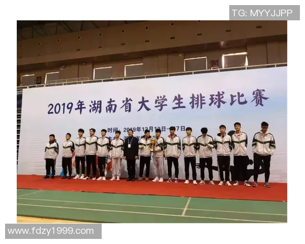 深圳排球队的崛起之路：从默默无闻到大满贯的辉煌历程